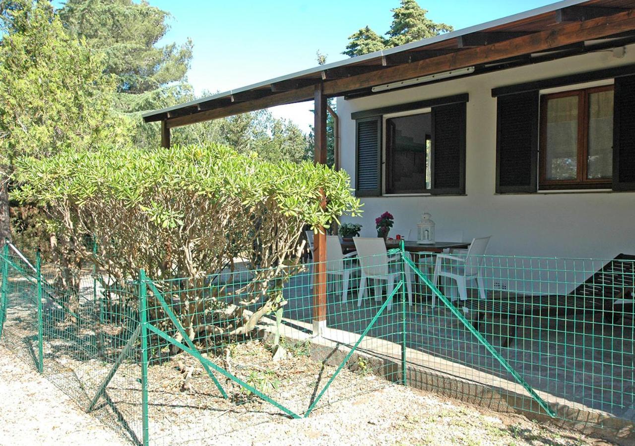 Casa Katia Daire Lacona Dış mekan fotoğraf